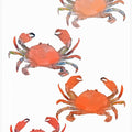 Crabs 1