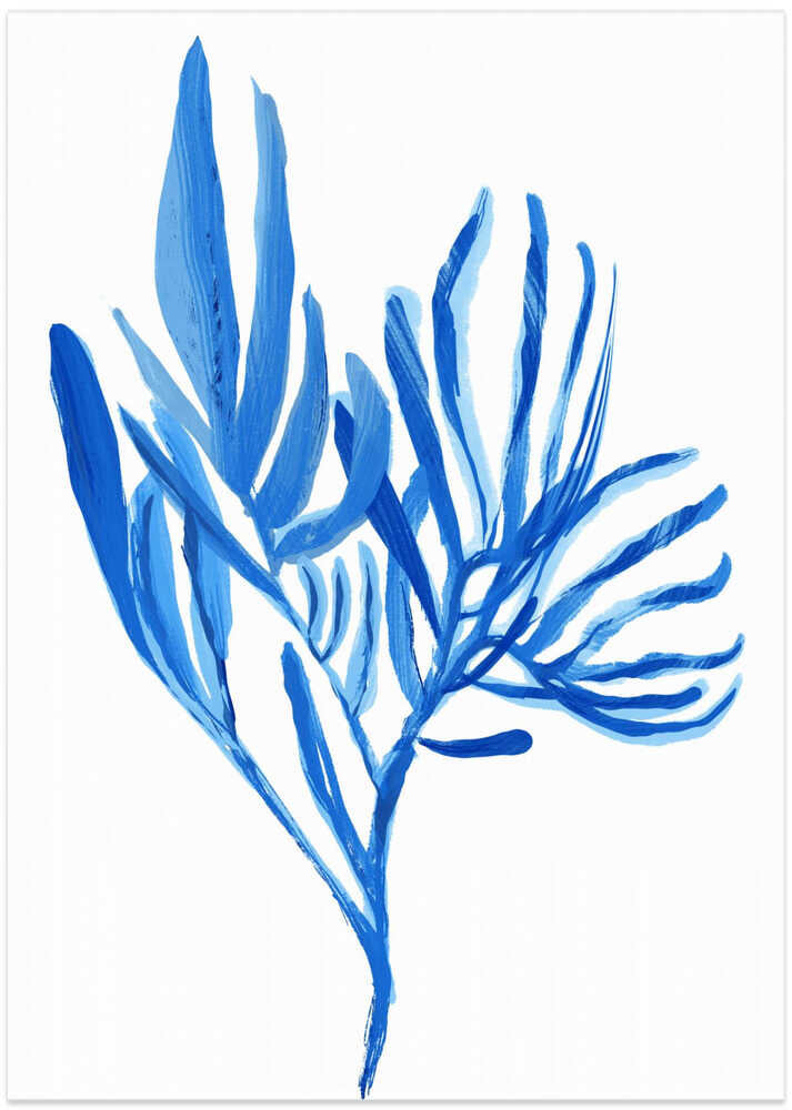 Blue Aquatice Plant Poster 5