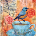 Birds Cofffee Break