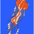 The Giant Jellyfish