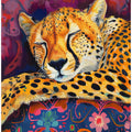 Dreaming Cheetah