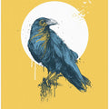 Blue Crow II