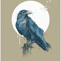 Blue Crow III