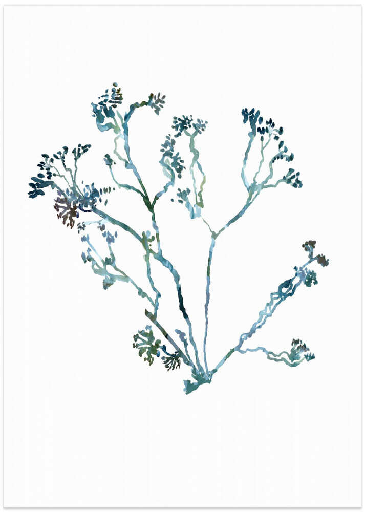 Delicate Blue Flowers 2