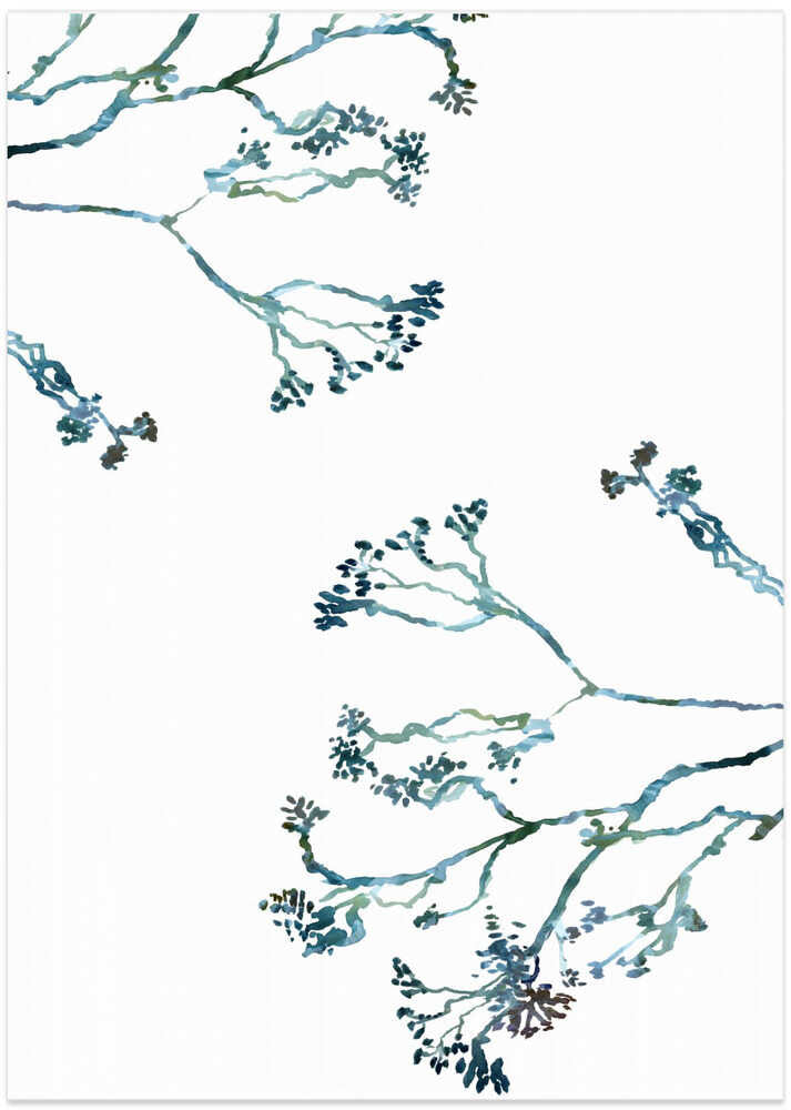 Delicate Blue Flowers 1