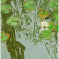 White Water Lily in Pond