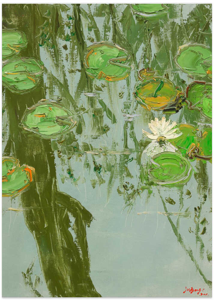 White Water Lily in Pond