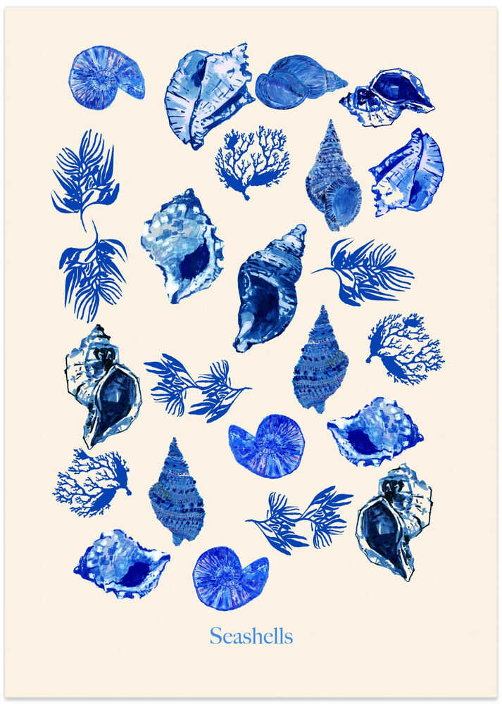 Seashells Poster