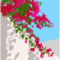 Bougainvillea Blossom