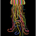 Rainbow Jellyfish
