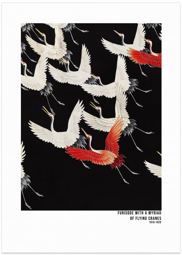 Furisode With a Myriad of Flying Cranes (1910–1920)   Japanese