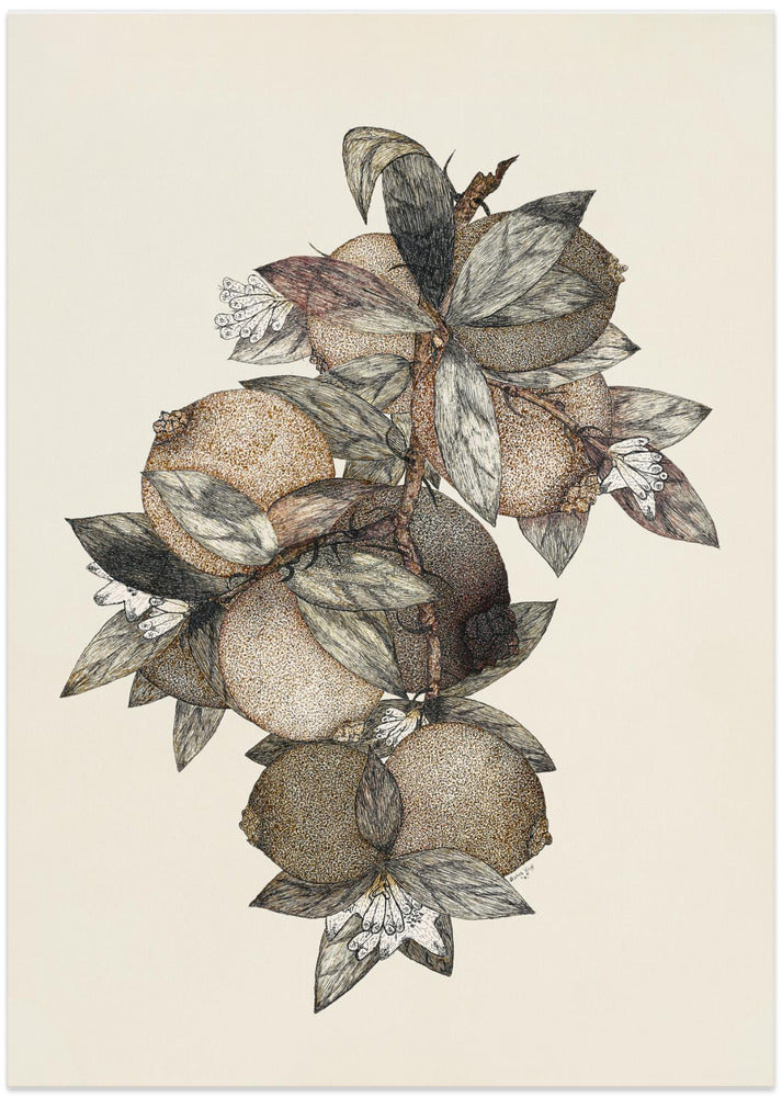 Pomegranate (1867) Rufus King