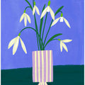 Snowdrops in Stripes