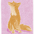 Pandc Littlefox Copy