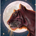 Moon and Tiger Colour Large