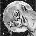 Moon and Tiger Original
