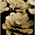 Sepia Succulents