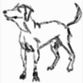 Scribbled Canine Sketch