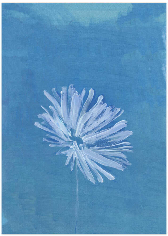 White Flower On Blue Background