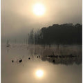 Misty Sunrise Reflections