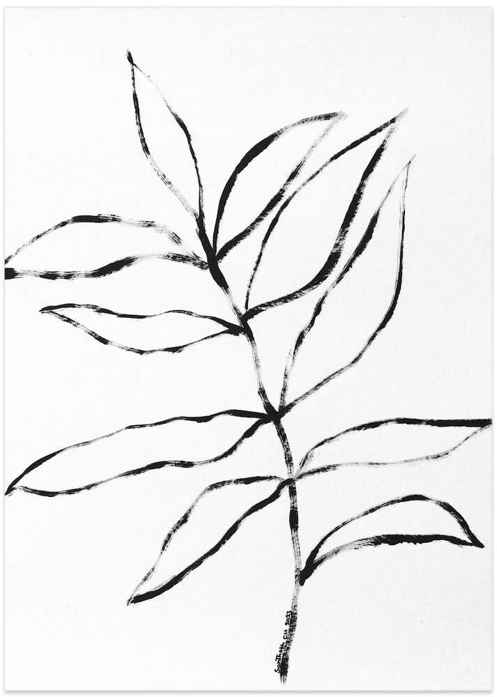 Lines of Plants 14