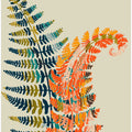 Colorful Fern Leaves