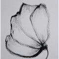 Charcoal Blossom