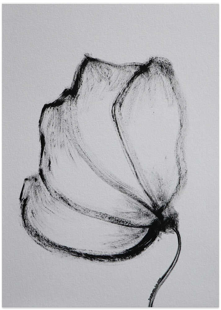 Charcoal Blossom