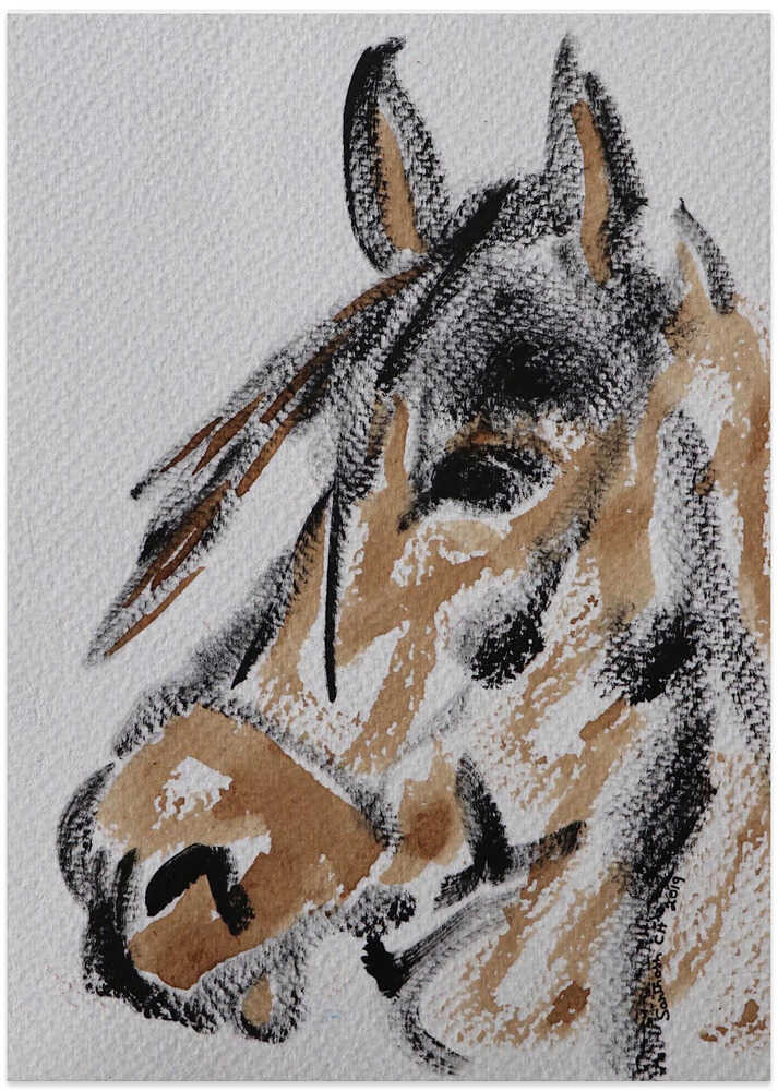 Majestic Equine Gaze