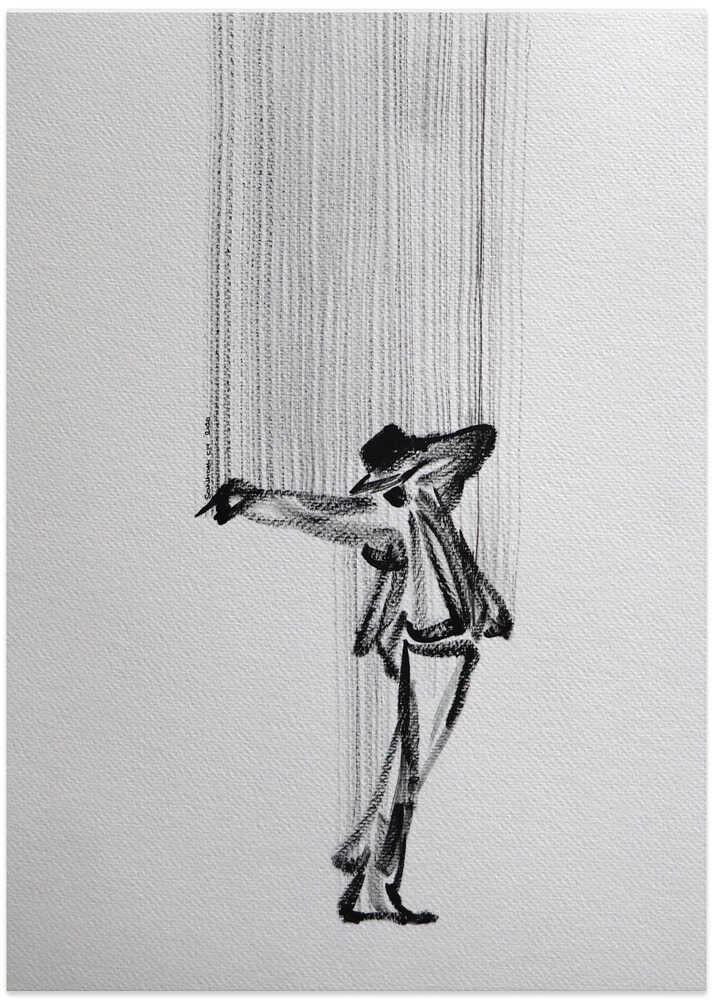 Graceful Shadow Dance