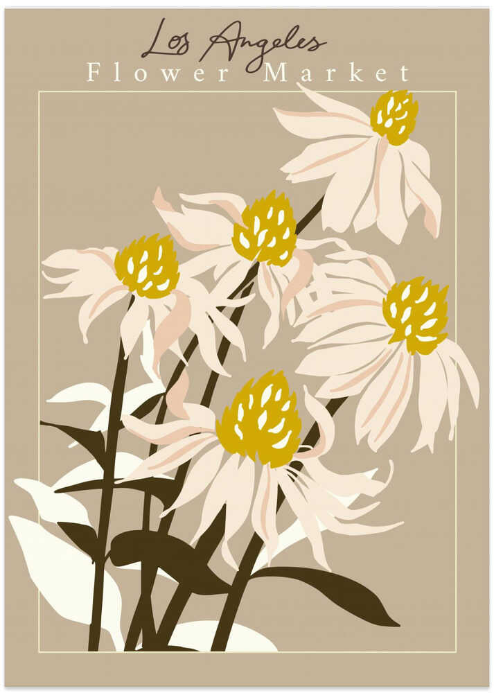 Flower Market Los Angeles Echinacea