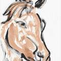Brushstroke Equine