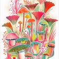 Funghi Forest Screenprint