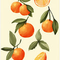 Oranges