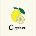 Modern French Fruits Collection "Lemon / Citron"