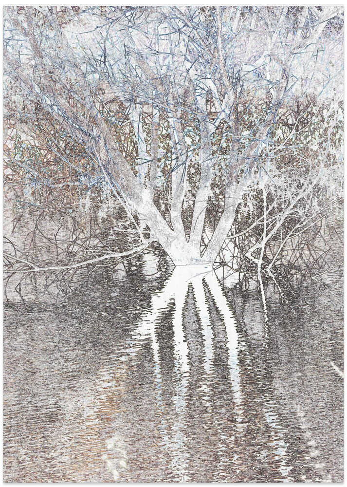 Ethereal Reflections