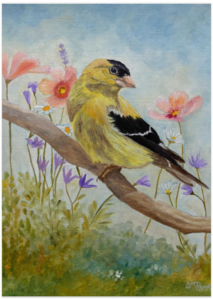 Early Spring American Goldfinch