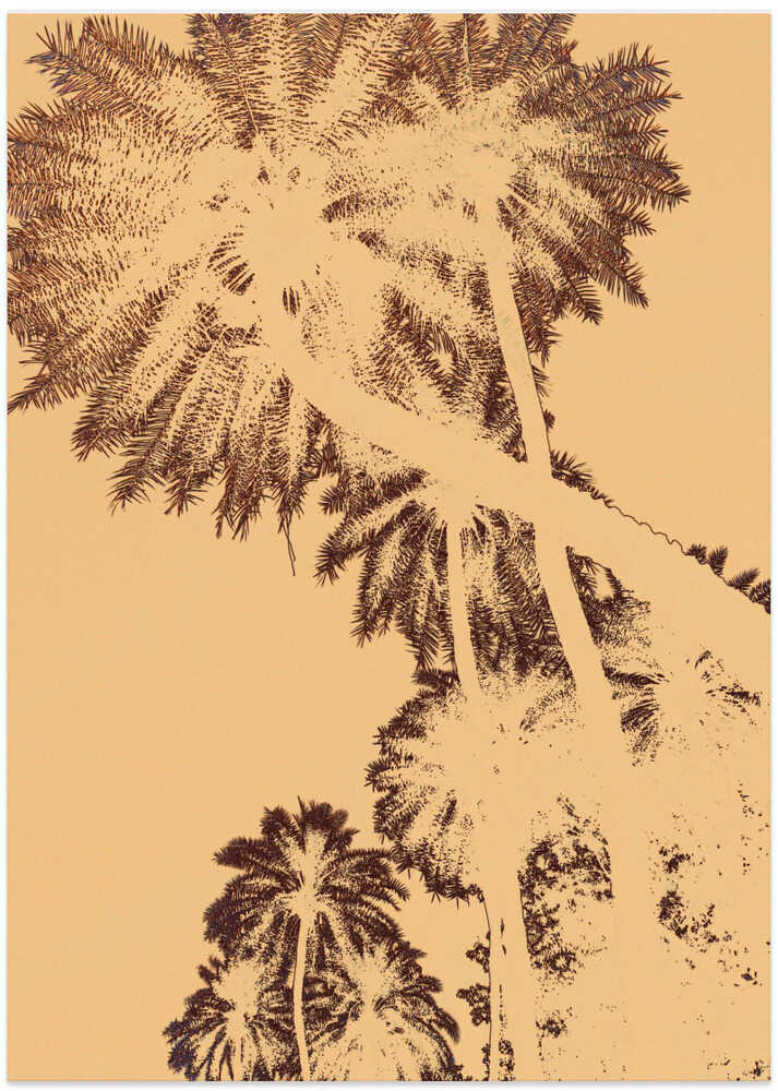 Palm Silhouette Glow