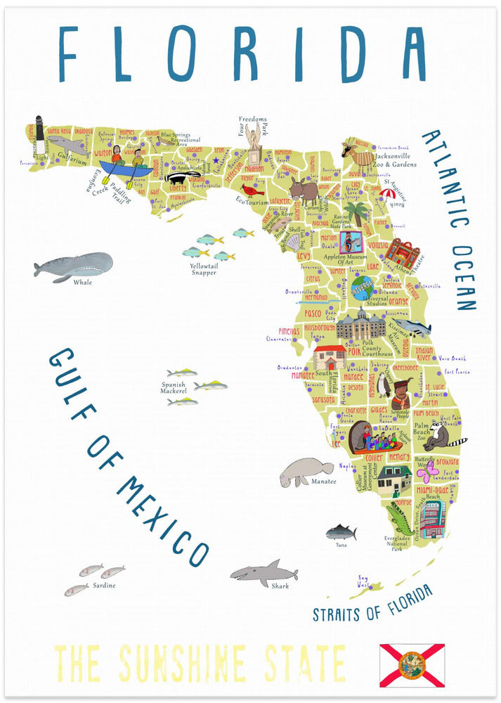Illustrated Map of Florida by Artist Carla Daly