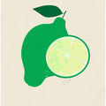 Citrus Illustration
