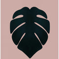 Monstera