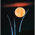 Supermoon Over Air Force Memorial
