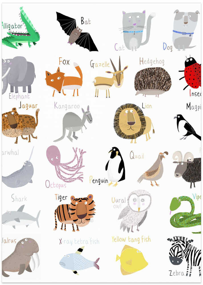 Illustrated Alphabet Animal Letters on White Background by Carla Daly