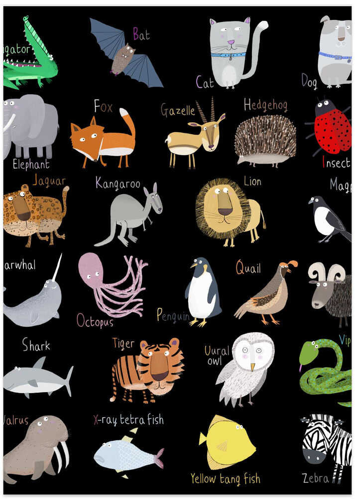 Alphabet Black White