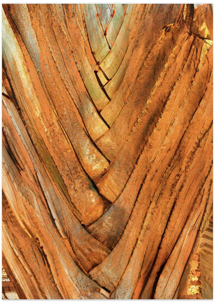 Rustic Bark Veins