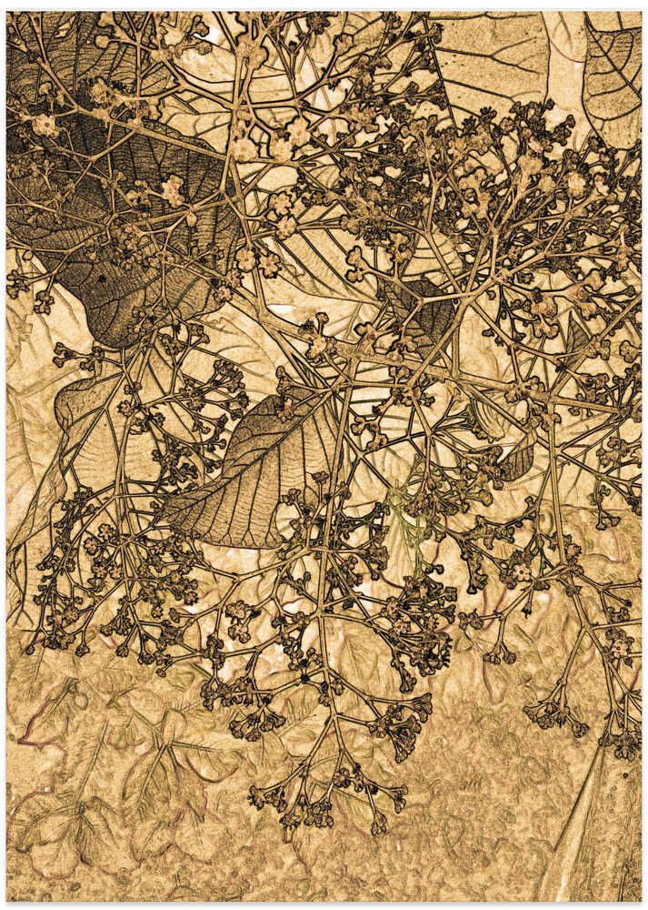 Intricate Nature Web