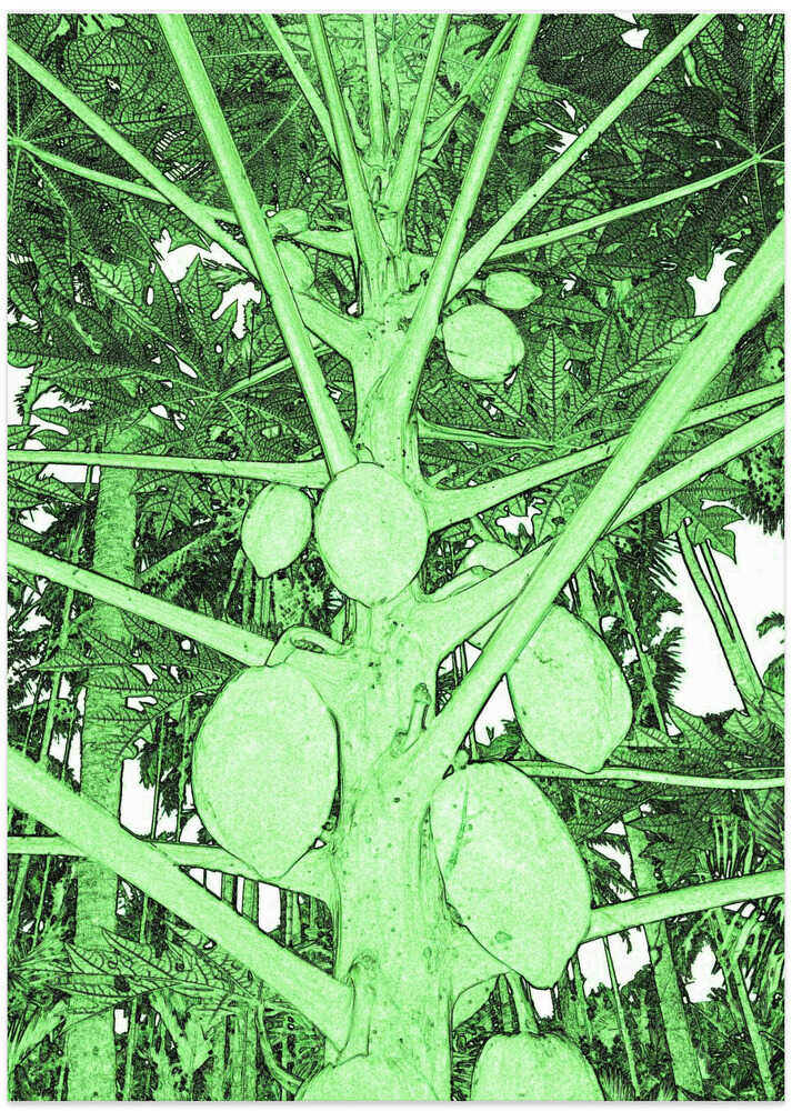 Verdant Papaya Realm