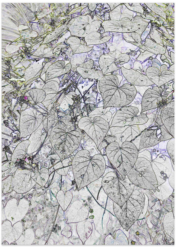 Veined Foliage Dream