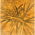 Golden Botanical Sketch