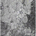 Monochrome Leavescape
